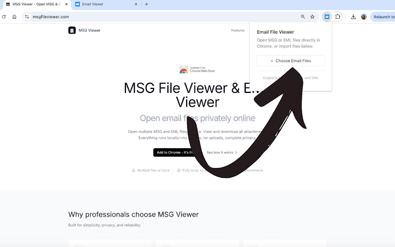 Step 2: Open the MSG Viewer extension popup